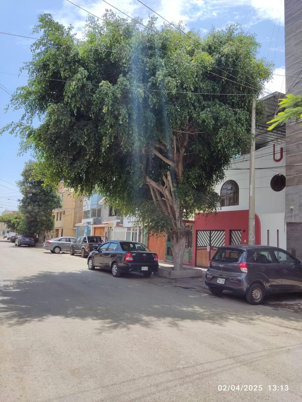 מלון טרוחיו D' Barrig מראה חיצוני תמונה